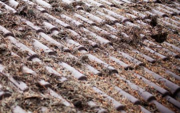 Sand roof cleaning companies